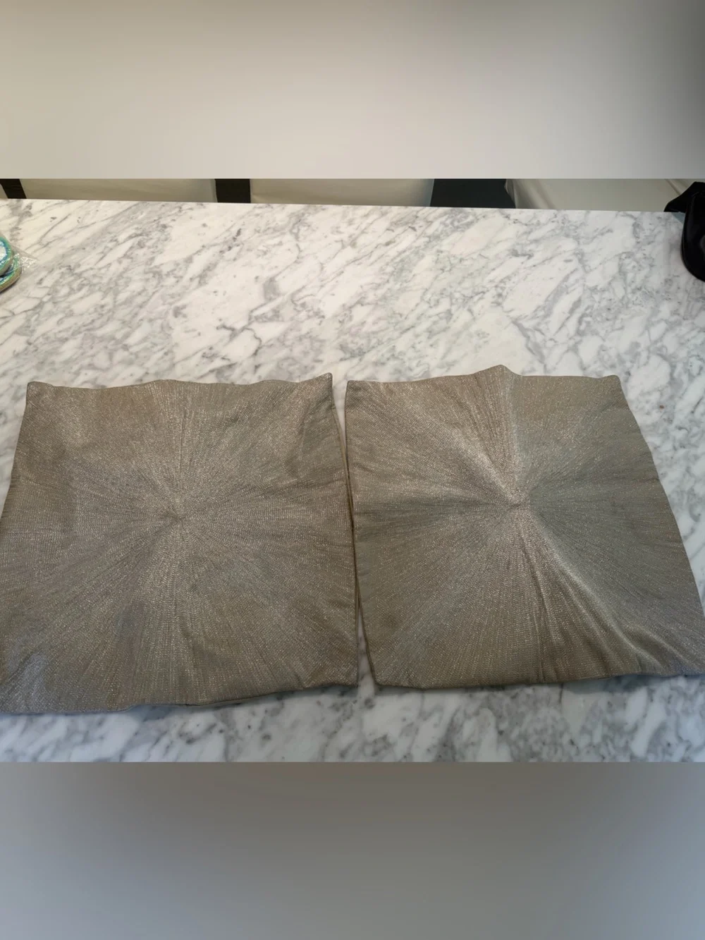 West Elm Metallic Decorative Throw Pillow Pair